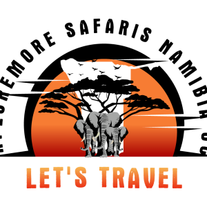 No Optional Activities Available