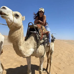 Camel Rides