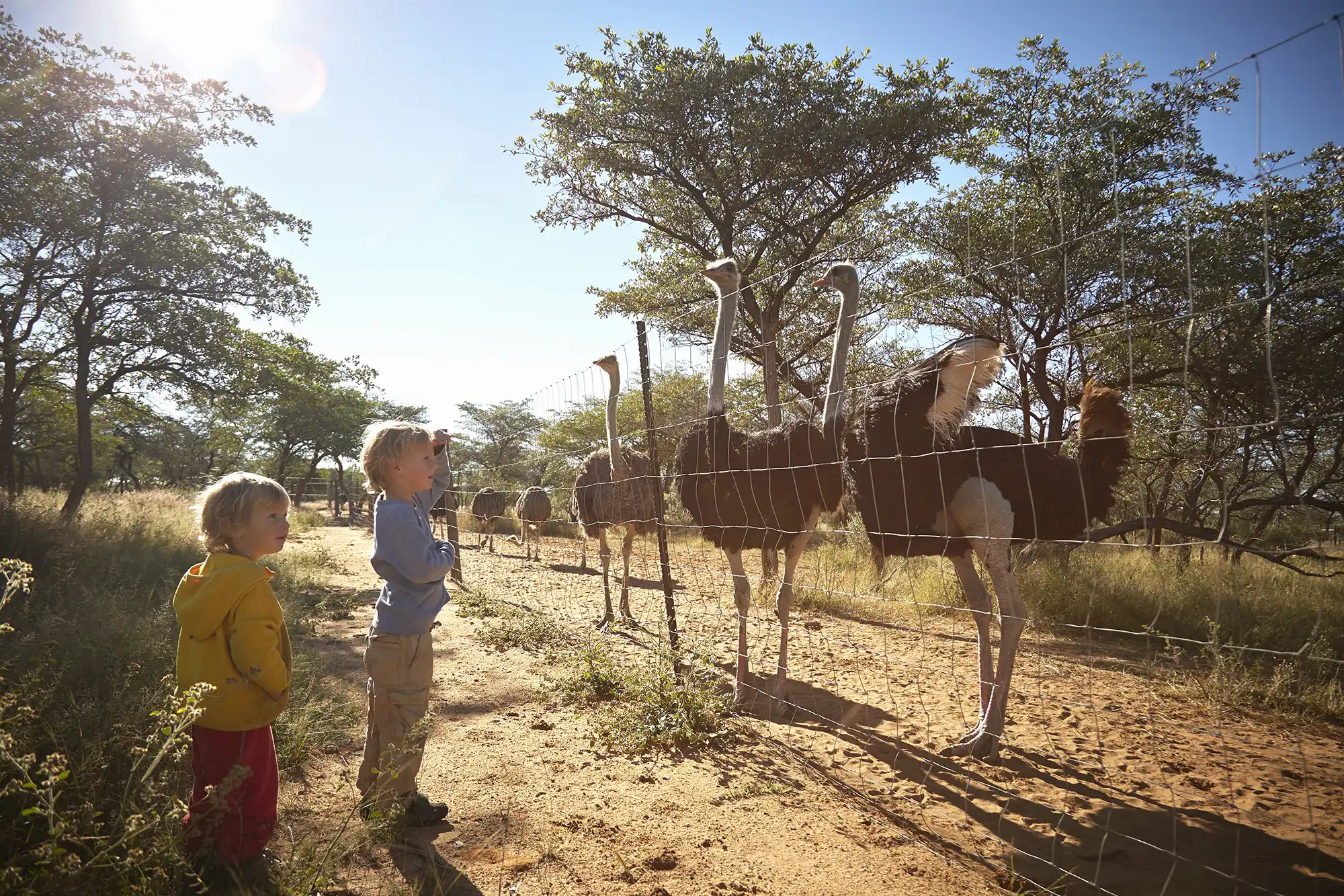 Travel_Namibia_with_kids_2